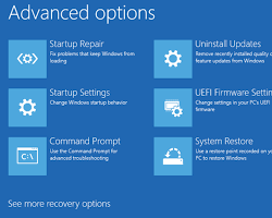 Image of Troubleshoot option in Windows Recovery Environment