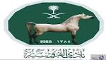 مشاركًا من دول في الألعاب