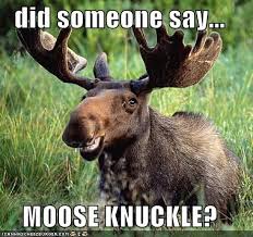 moose knuckle quotes on Pinterest | Moose, Camels and Toe via Relatably.com