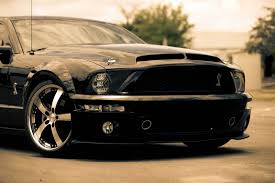 Image result for black cobra with sweet girl