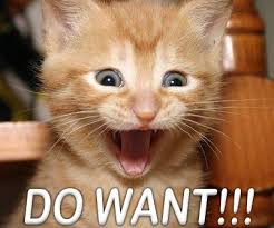 images?q=tbn:ANd9GcTCZ8LtmwX3c0eoWqAWj9hIJ2rMqpbg_upC1TnEPqkaP7YpG9a1