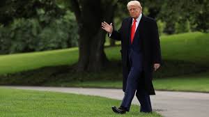 Trump Approval Ratings Hold Steady in May 2025