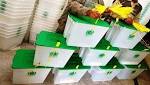 orders ECP, others submit replies