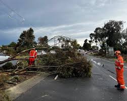 News source: The Guardian