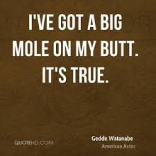 Moles Quotes. QuotesGram via Relatably.com