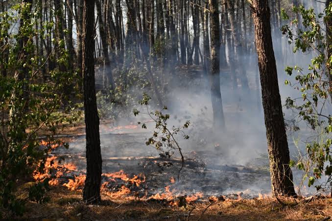 Wildfires force evacuations of 330,000 in France and Spain as Spanish PM Pedro Sánchez warns crews face 'difficult hours'