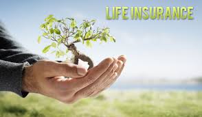 Discount Life Insurance Quote via Relatably.com