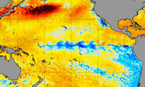 MeteoWeb - News update