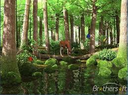 Image result for animated butterflies wallpaper