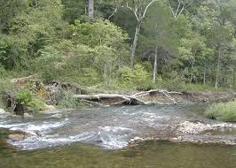 Image result for "Current River"