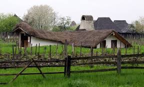 images?q=tbn:ANd9GcTCvlM3As7PZ-7VQ3V5afH