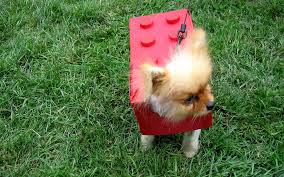 Image result for funny dog halloween costumes
