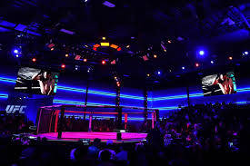 Theo Haig DWCS Loss Triggers Melbourne Gym Sponsorship Collapse and Australian MMA Survival Crisis