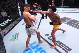 UFC - News update