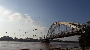 Did you know about the bull sharks of the Karun river in Iran’s Ahvaz?
