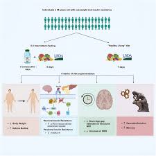 Evaluating Diet's Impact on Brain Health: Insights from a Pilot Study - 1