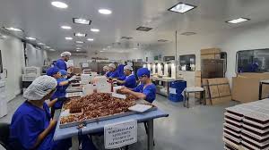 ¡Alerta! Fentanilo Contaminado: Primeras Conclusiones Forenses Reveladas
