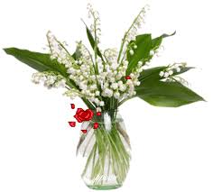 Résultat de recherche d'images pour "gifs animés de muguets"