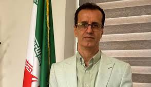 قیمت مرغ امروز