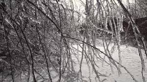 Valul de ger siberian a ajuns în România. Cod galben de temperaturi foarte scăzute în mai multe județe din țară