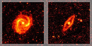 Image result for m91 galaxy