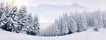 Image result for snow