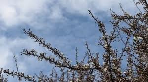 погода хмельницький