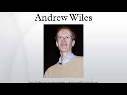 Image result for andrew wiles