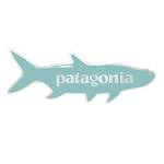 Patagonia tarpon