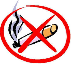 Image result for ROKOK