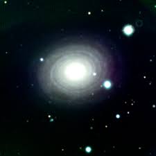 Image result for NGC 1365