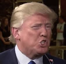 Image result for Donald Trump