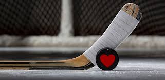 Image result for Hockey
