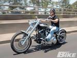 Harley davidson custom softail