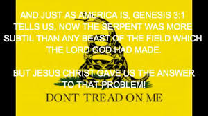 Image result for gadsden flag