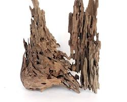 Obrázek: Honeycomb Wood in an aquarium