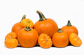 external image images?q=tbn:ANd9GcTEHwgyJFpX8D0S2eps90TaE8gezKXFYlJ3Tk_lhCXr8kLW-8clWw