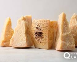 Grana Padano DOP