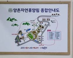 양촌 이미지
