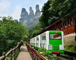 張家界十里畫廊觀光小火車的圖片
