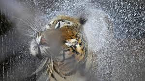 Telangana sizzles as maximum temperature in six districts cross 44℃, all districts record above 42℃