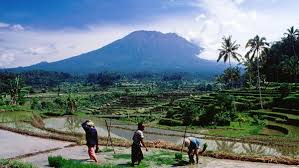 Hasil gambar untuk bali countryside tour