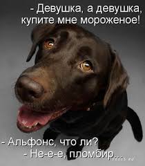 images?q=tbn:ANd9GcTEaVeXIRfMMp9Ahpmxr4OtoYmHb62Xw39iLuYSo2AyN1UiZZg1Dg