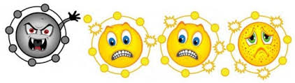 images?q=tbn:ANd9GcTEvoubh29tjYcai6nGi6uumLWICCWU0KBTx5HQJJfFvjH2cq-a0Q Reaksi Radikal Bebas