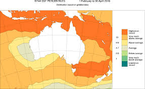 Image result for trump causing coral bleaching