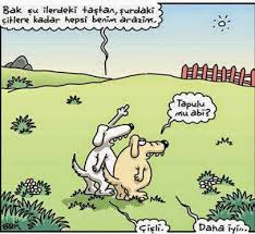 Erdil Yaşaroğlu ile ilgili görsel sonucu