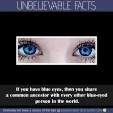 Blue Eye Quotes on Pinterest | Brown Eye Quotes, Green Eye Quotes ... via Relatably.com