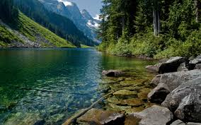 images?q=tbn:ANd9GcTEzTMyJIuIuRKiIyAFYcVyydqCK2OmY2RrSfwCuO4M4LBbkBSiKw