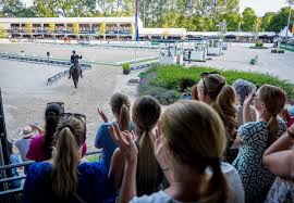 Horses - News update