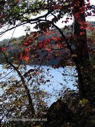 Bildergebnis für pulltite spring